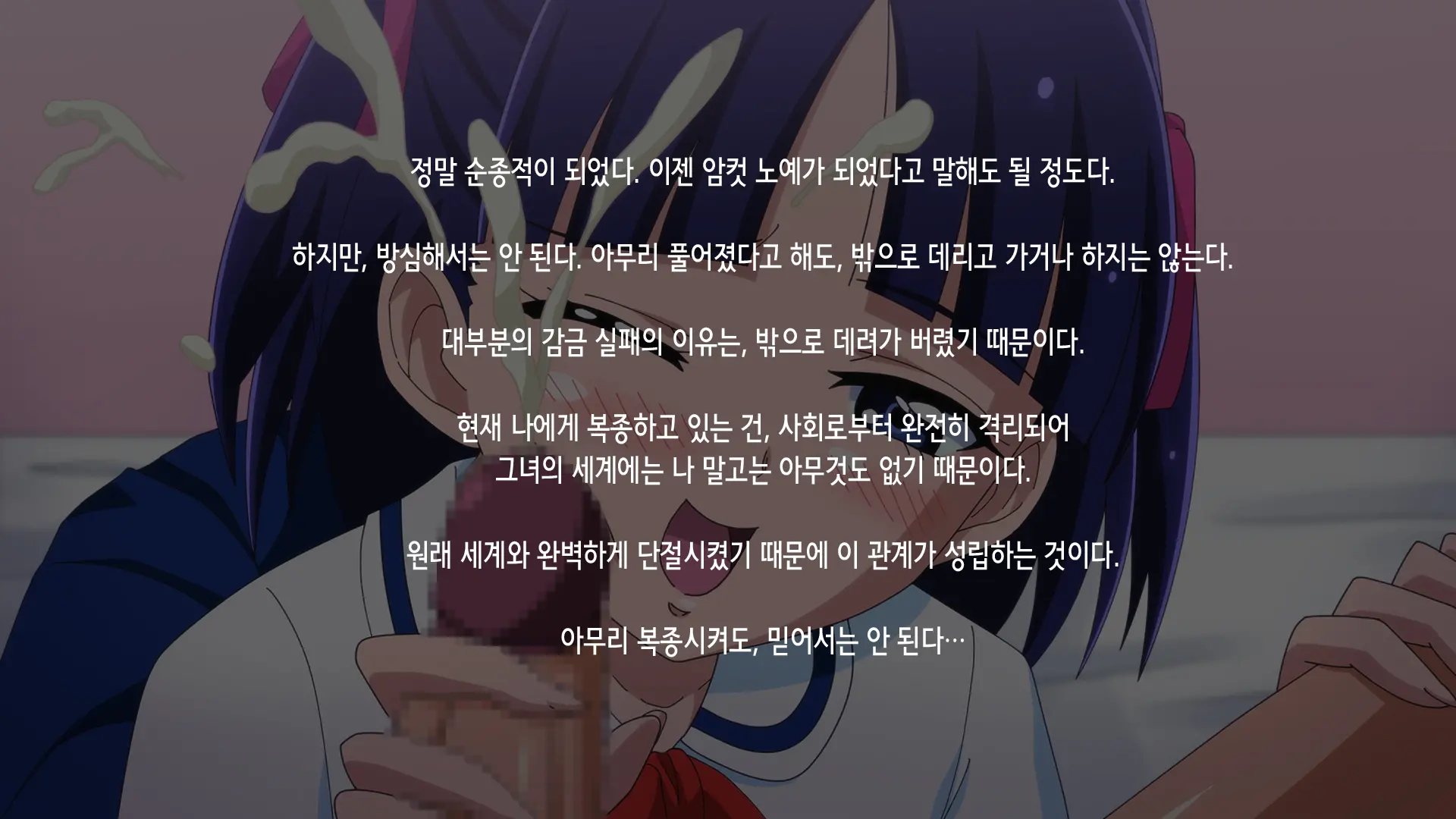 Kansatsu Nikki | 간찰일기